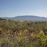 Alojamento de Turismo Rural Colle Di Rocco *