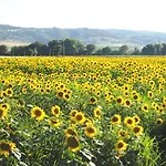 Alojamento de Turismo Rural Colle Di Rocco *