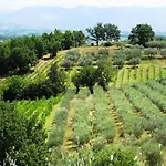 Colle Di Rocco *