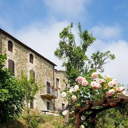 Colle Di Rocco * Cannara