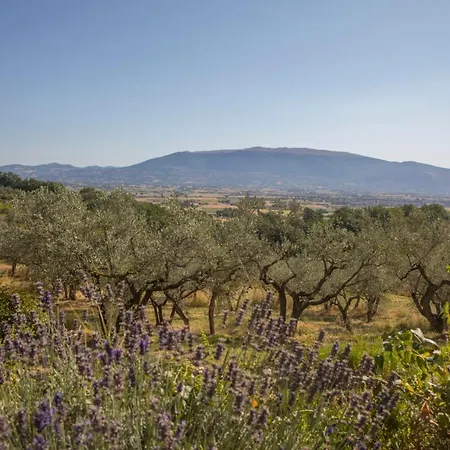 Lantgård Colle Di Rocco *