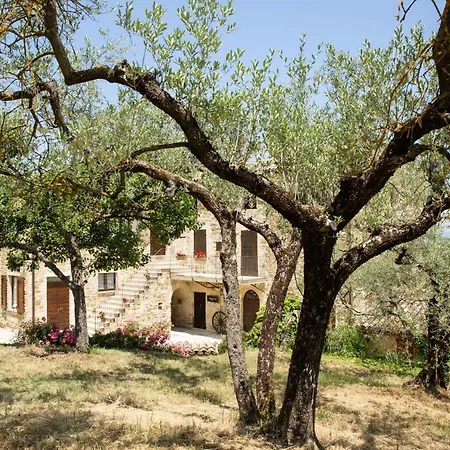 Colle Di Rocco Farm stay