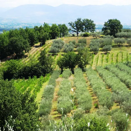 Colle Di Rocco *