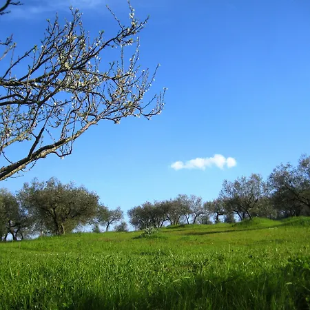 Lantgård Colle Di Rocco Cannara
