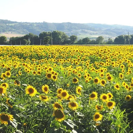 Farm stay Colle Di Rocco