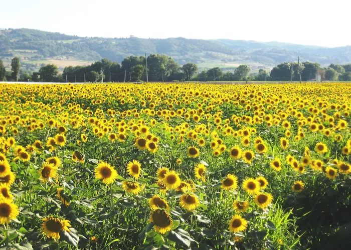 Κατάλυμα σε φάρμα Colle Di Rocco *